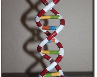 DNA Desk Statue