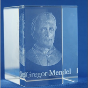 Gregor Mendel Cube
