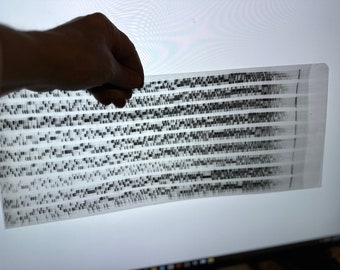 Human Genome Project: Gel Electrophoresis