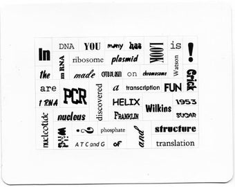 Flex Word Magnets