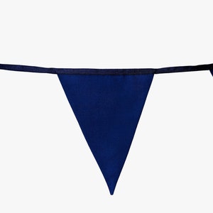 May include: A single blue triangle pennant with a black border and string attached.