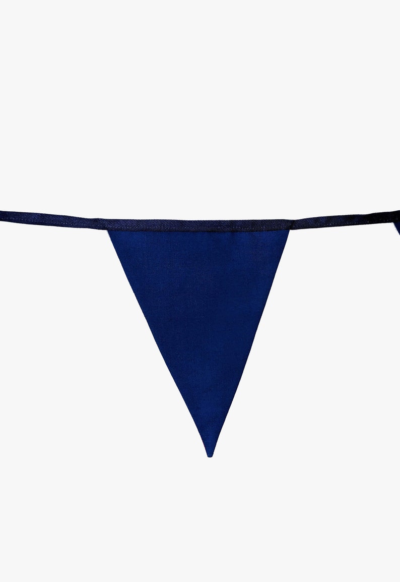 May include: A single blue triangle pennant with a black border and string attached.
