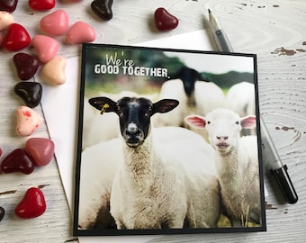 Handmade Photo Greeting Cards - ©Krystle VanRoboys, Photographer