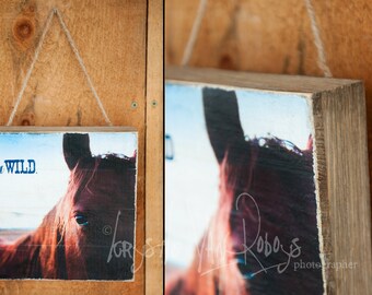 Wood Pallet Photo Transfer ©Krystle VanRoboys Photographer, Brown Horse, Photo Transfer on Wood, Wood Photo, Rustic Decor, Western Art, Farm