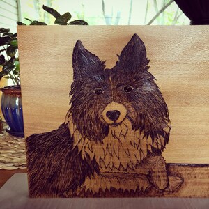 Pyrography Pet Portrait