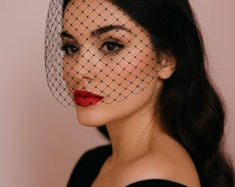 Black Birdcage Veil: French Netting Bandeau Veil