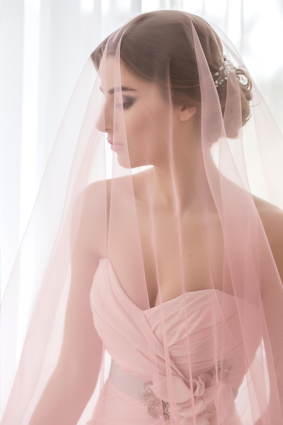 Soft Drop Veil