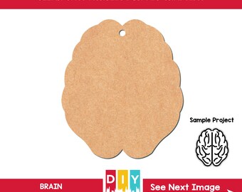 Package of 2.5 Human Brain Acrylic Craft Blank for DIY Projects