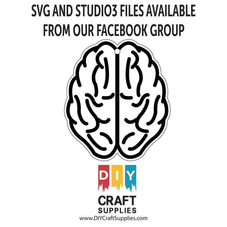 Package of 2.5 Human Brain Acrylic Craft Blank for DIY Projects