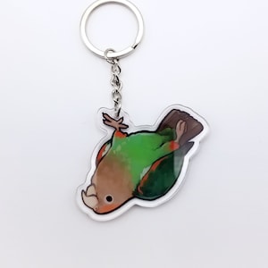 Dangling Cape Parrot Keychain