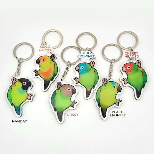 Dangling Green Cheek Conure Keychain Etsy