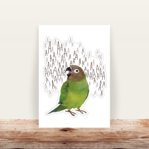 Screaming Dusky Conure Vinyl Sticker