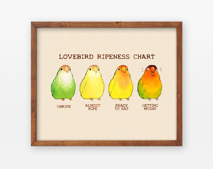 Lovebird Ripeness Chart Poster Etsy