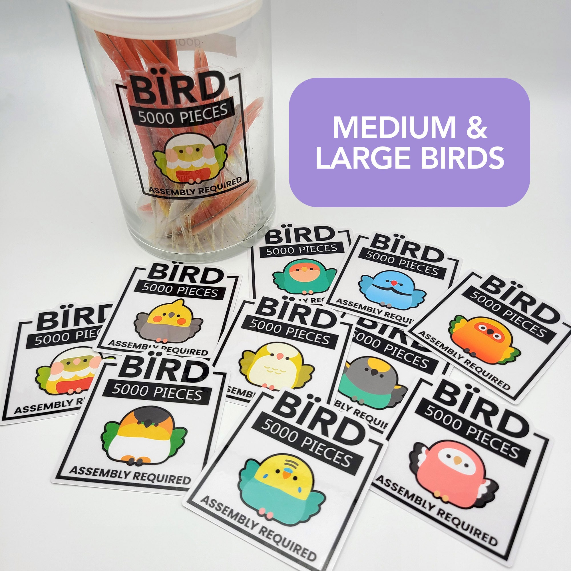 Clear Sticker for Feather Collections (medium+large parrots)