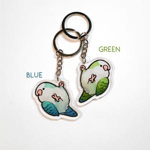 Dangling Quaker Parrot Keychain