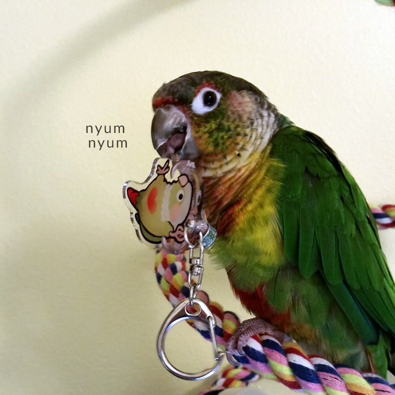 Dangling Green Cheek Conure Keychain Etsy