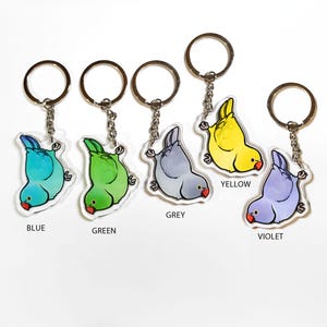 Dangling Indian Ringneck Keychain