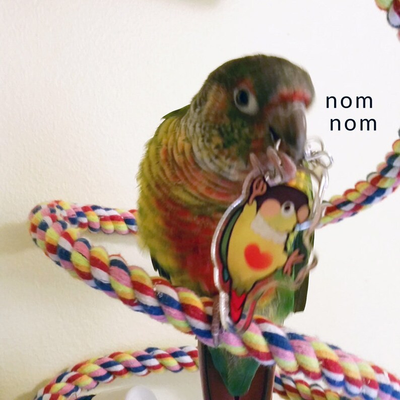 Dangling Green Cheek Conure Keychain Etsy