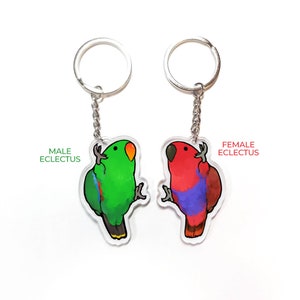 Dangling Eclectus Keychain