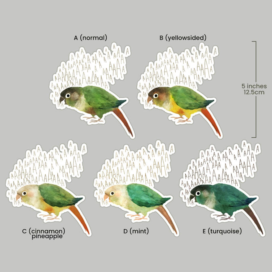 Screaming Green Cheek Conure Vinyl Sticker Etsy