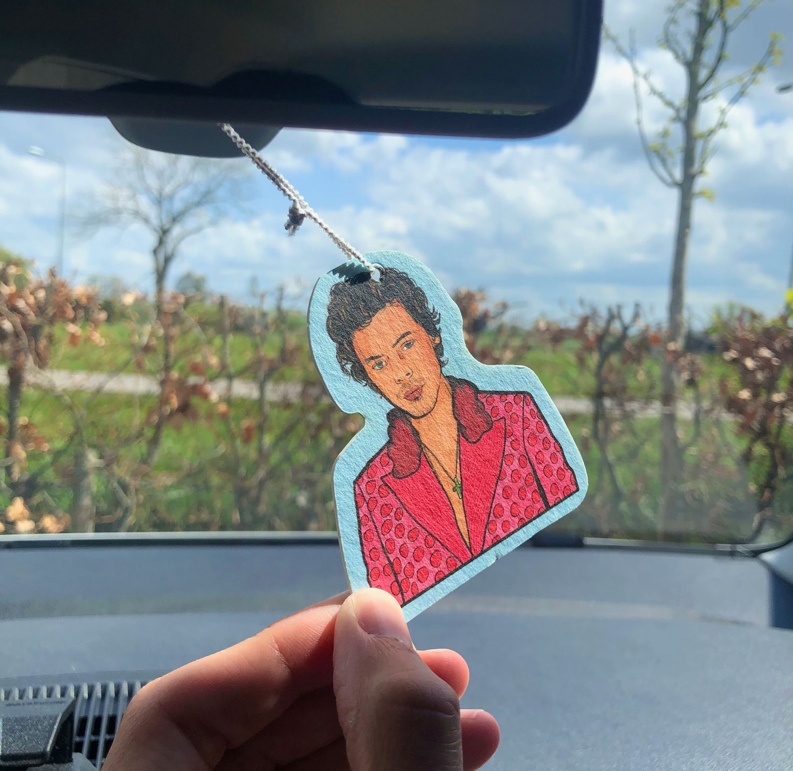 Harry Styles Air Freshener Harry Styles Harry Styles Gift Etsy Australia