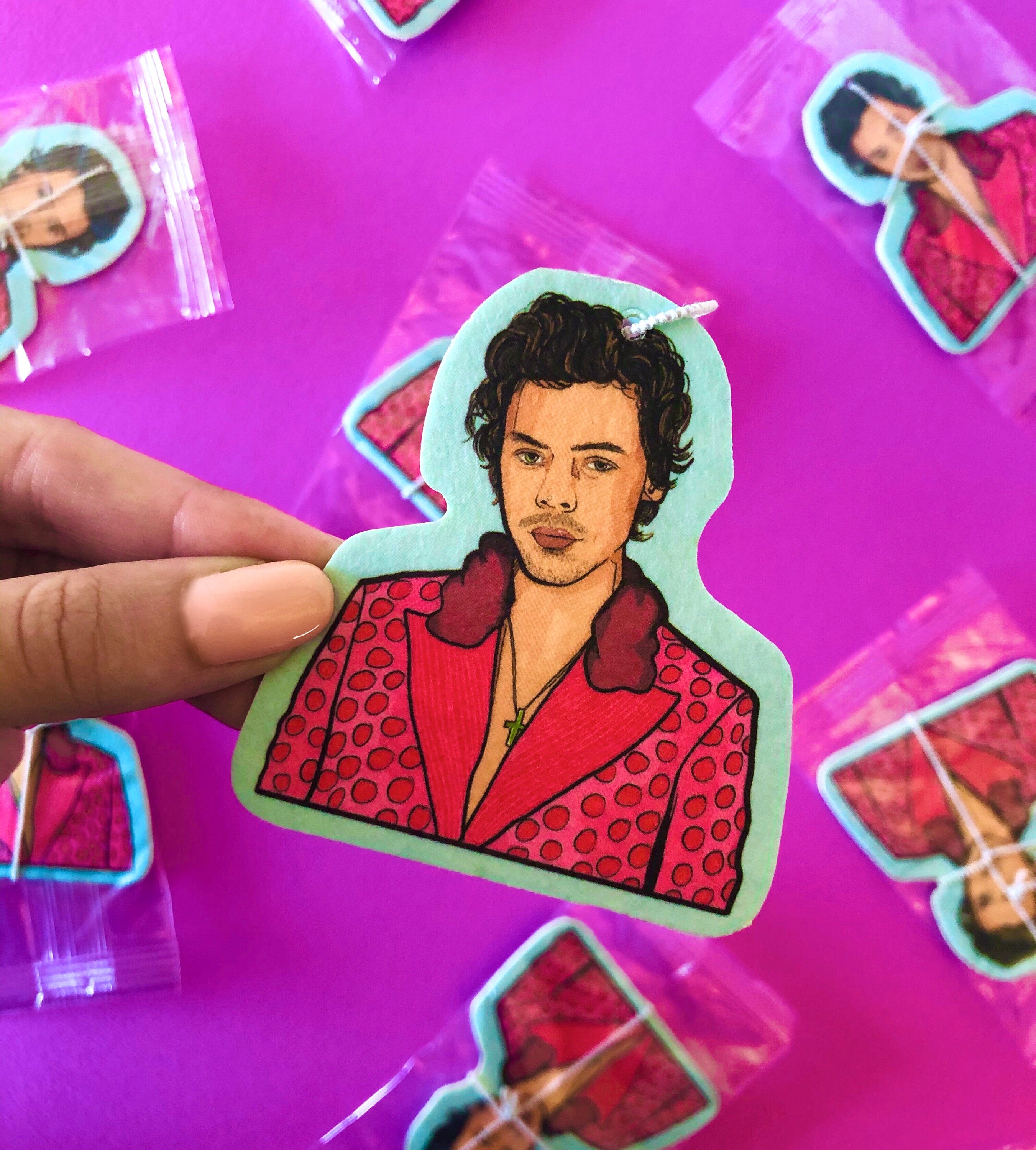 Harry Styles Air Freshener Harry Styles Harry Styles Gift Etsy Australia