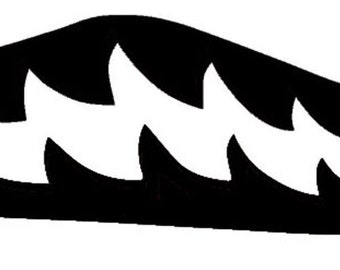 bape vans stencil