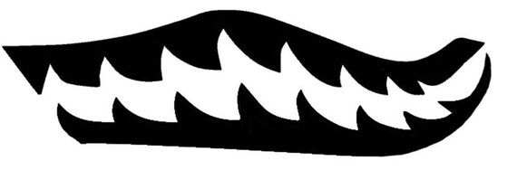 bape vans stencil