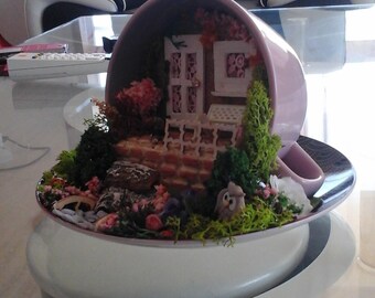 Miniature landscape in a cup