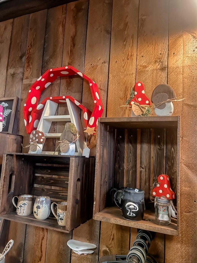 Handmade Mushroom Shelf, Cottagecore Decor, Crystal & Essential Oil Display image 11