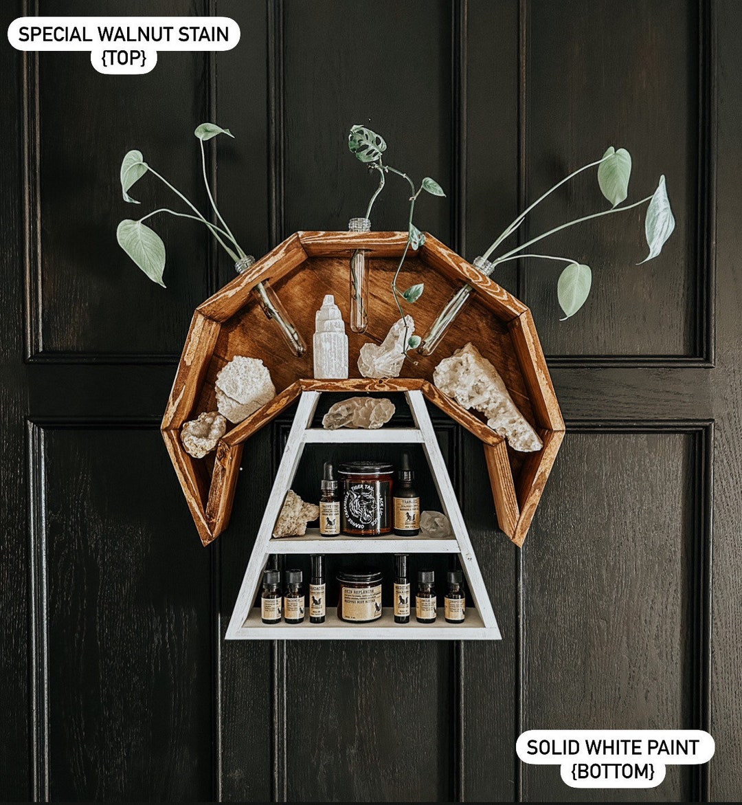 Mushroom Shelf Mushroom Art Plant Propagation Shelf Plant Etsy