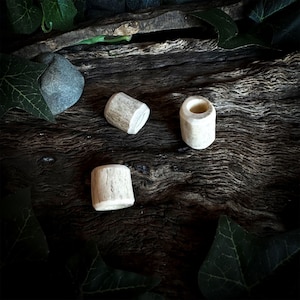 以下が含まれることがあります： 暗く質感のある木材の表面に、ざらざらした質感の小さな円筒形のオフホワイトの物体が3つあります。物体は、おそらく骨や角のような天然素材で作られているようです。緑の葉と小さな灰色の石が物体の周りに散らばっています。