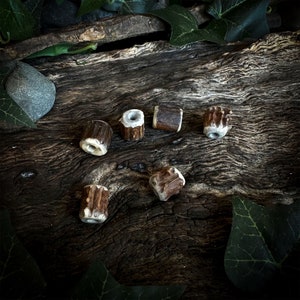 Könnte beinhalten: Sechs kleine, zylindrische Perlen aus Hirschgeweihabschnitten. Die Perlen haben eine natürliche braune und cremefarbene Farbe mit einer rauen, strukturierten Oberfläche. Sie sind auf einer dunklen Holzoberfläche mit grünen Blättern angeordnet.