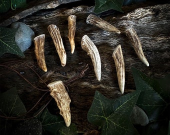 Antler Spike Pendant - Dark/Rough Texture