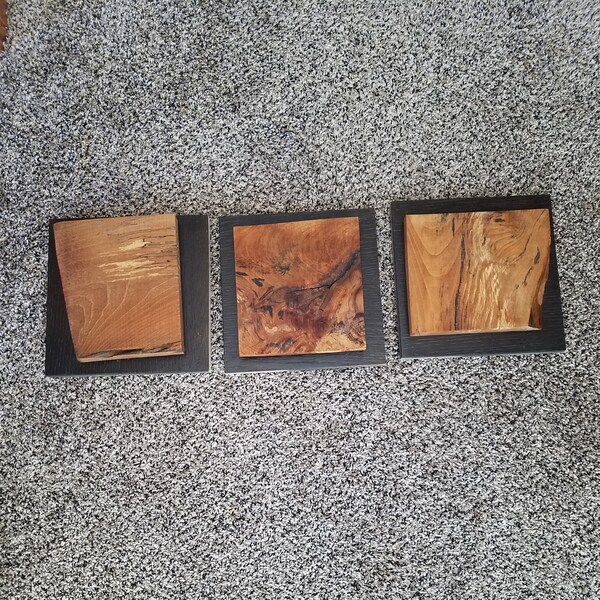 Live Edge Wall Art - Etsy