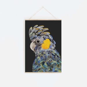 Bruny the Yellow Tailed Cockatoo / Art Print / Wall Art