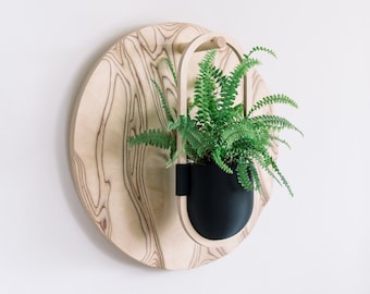 Hanging planter with contoured disc backdrop