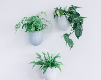 Wall Mounted Planter