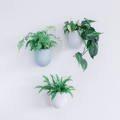 Wire Mesh Wall Mounted Circular Shelving Unit Round Metal & Etsy