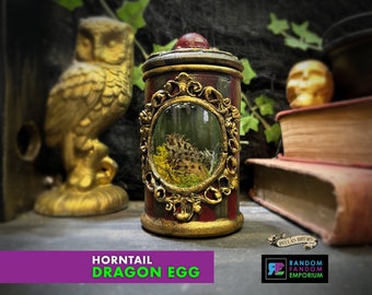 ORIGINAL & RARE Horntail Dragon Egg Curiosity Jar, Lighted Dragon Egg for Magical Witch or Wizard, Collectible Super Rare Oddity Object