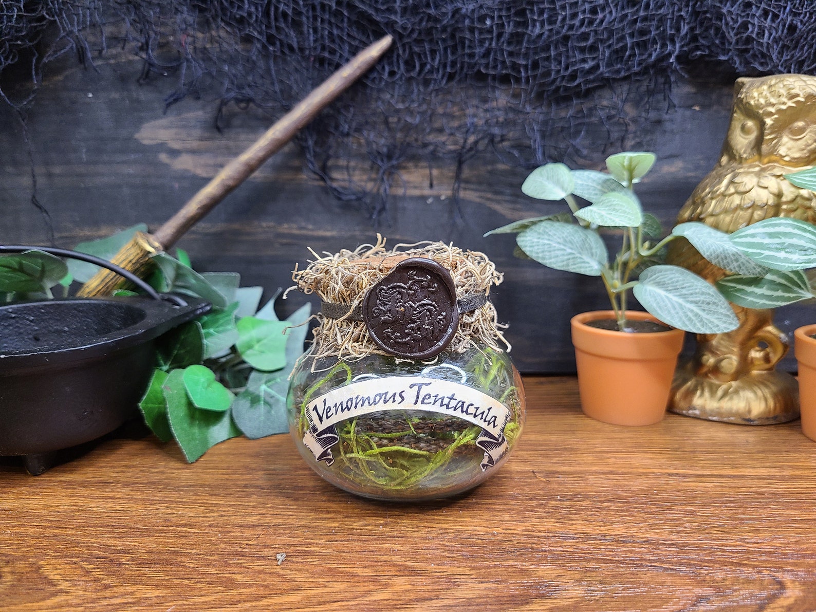 Venomous Tentacula Magic Potion Ingredient Dangerous | Etsy