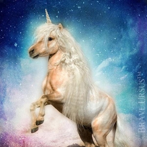 Unicorn (Style #1) Spirit Animal Altar & Prayer Card 5x7 door Bernadette King