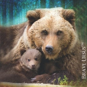 Bear Spirit Animal Altar & Prayer Card 5x7 door Bernadette King