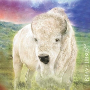 White Buffalo Spirit Animal Altar & Prayer Card 5x7 door Bernadette King