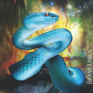 Snake Spirit Animal Altar & Prayer Card 5x7 door Bernadette King
