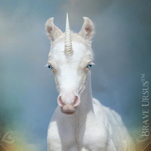 Unicorn (Style #2) Spirit Animal Altar & Prayer Card 5x7 door Bernadette King