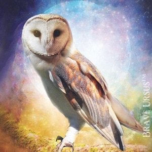 Owl Spirit Animal Altar & Prayer Card 5x7 di Bernadette King