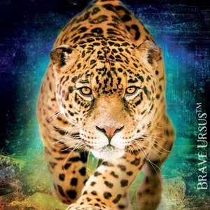 Jaguar Spirit Animal Altar & Bidprentje 5x7 door Bernadette King