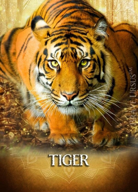 Tiger Spirit Animal Altar & Prayer Card 5x7 by Bernadette King - Etsy UK Tiger Spirit Animal Altar & Prayer Card 5x7 by Bernadette King - Etsy UK