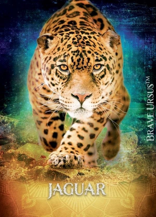 Jaguar Shaman - Etsy Jaguar Shaman - Etsy